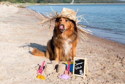 Kühl durch den Sommer! Kühl durch den Sommer!