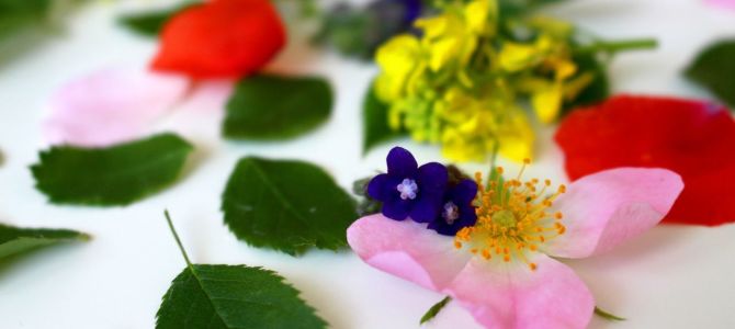 Bachblüten & ätherische Öle & Aura-Chakra